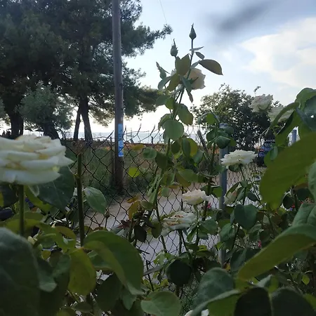 Nitsa Apartment