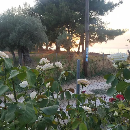 Nitsa Apartment