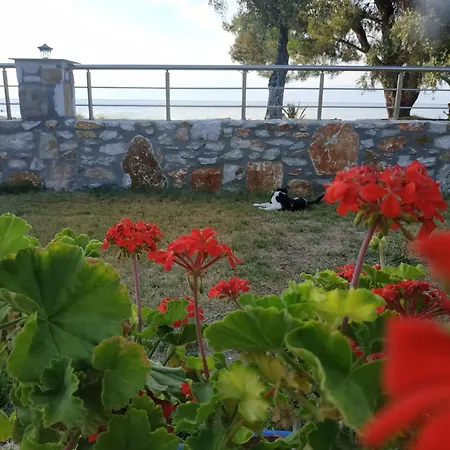 Apartment Nitsa Skala Rachoni (Thasos)