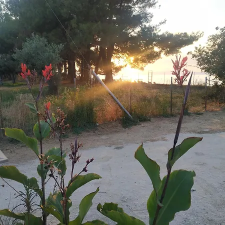 Nitsa Apartment Skala Rachoni (Thasos)