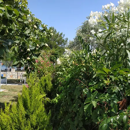 Nitsa * Skala Rachoni (Thasos)