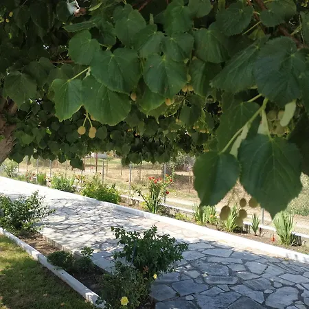 Apartment Nitsa