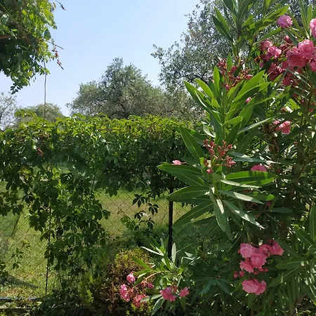 Apartment Nitsa Skala Rachoni (Thasos)
