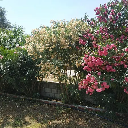 Nitsa Skala Rachoni (Thasos)